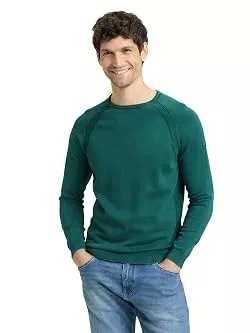 TOM TAILOR Pullover & Strickmode TOM TAILOR Herren Strickpullover mit Rundhalsausschnitt