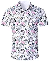 ALISISTER Hemden ALISISTER Hawaiihemd Herren 3D Drucken Lässig Button Down Strandurlaub Hemd Aloha Kurzarm Hawaii Hemd M-XXL